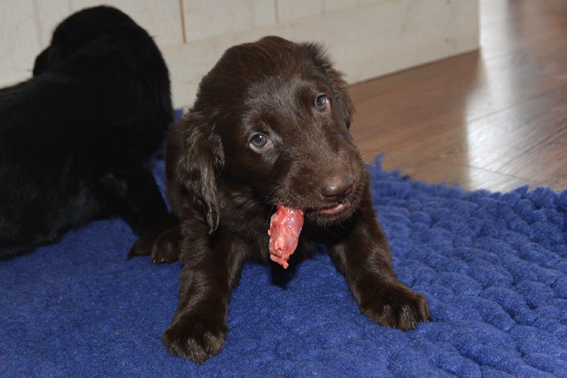 [Image: 260208%202.jpg]