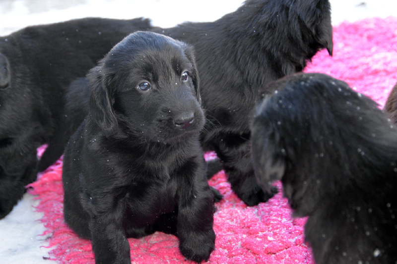 [Image: 260213%201.jpg]