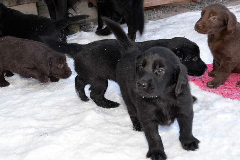 [Image: 260213%2010.jpg]