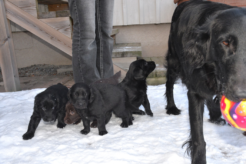 [Image: 260213%2011.jpg]