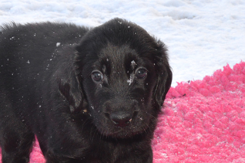 [Image: 260213%2012.jpg]