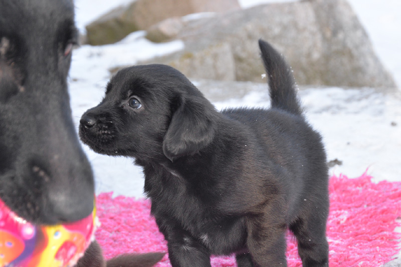 [Image: 260213%2013.jpg]