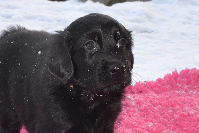 [Image: 260213%2014.jpg]