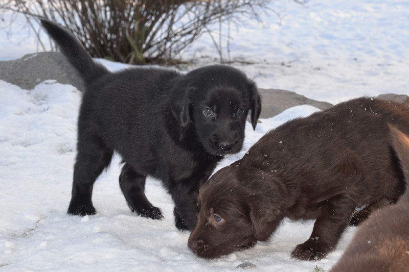 [Image: 260213%2015.jpg]