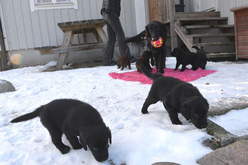 [Image: 260213%2016.jpg]