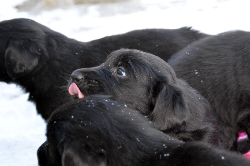 [Image: 260213%202.jpg]