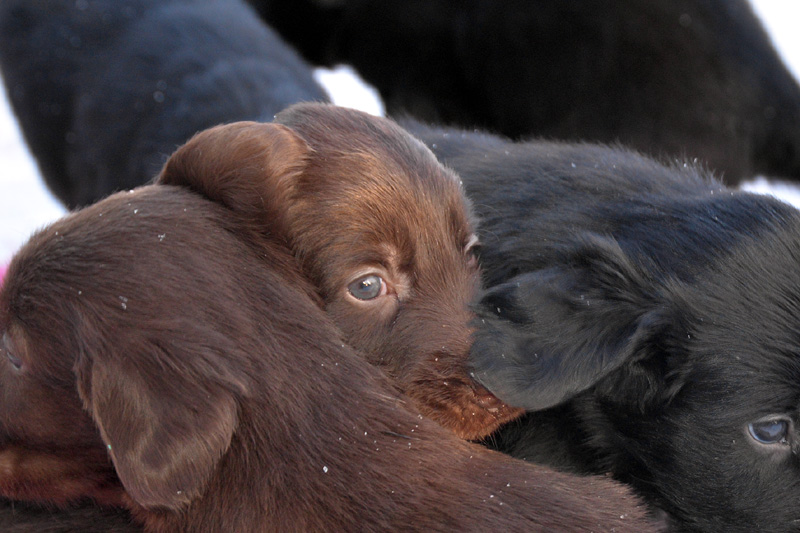 [Image: 260213%203.jpg]