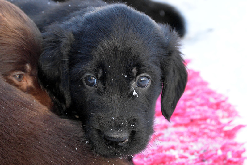 [Image: 260213%204.jpg]