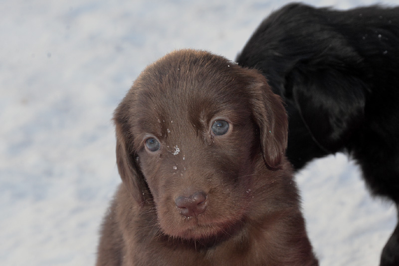 [Image: 260213%205.jpg]