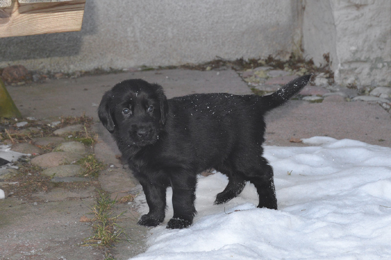 [Image: 260213%206.jpg]