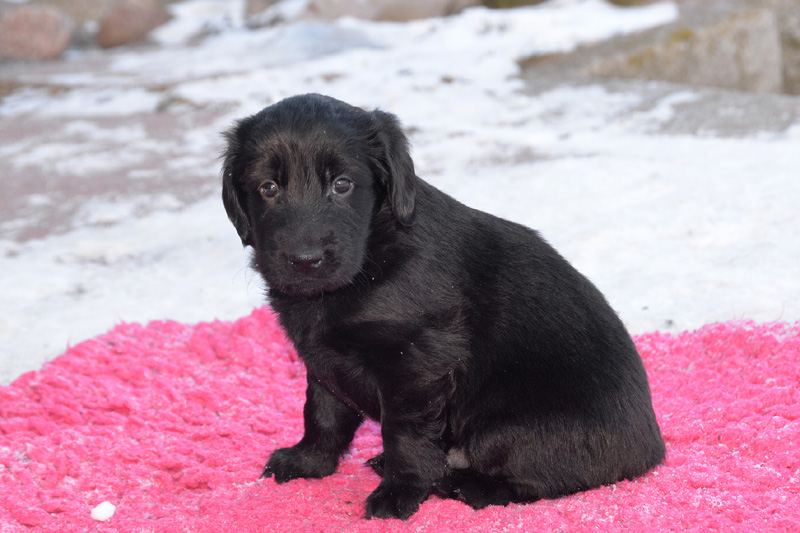 [Image: 260213%207.jpg]