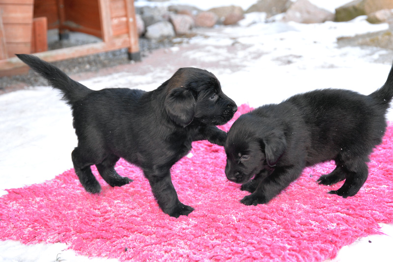 [Image: 260213%208.jpg]