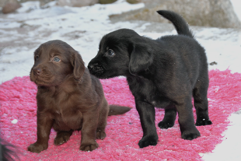 [Image: 260213%209.jpg]