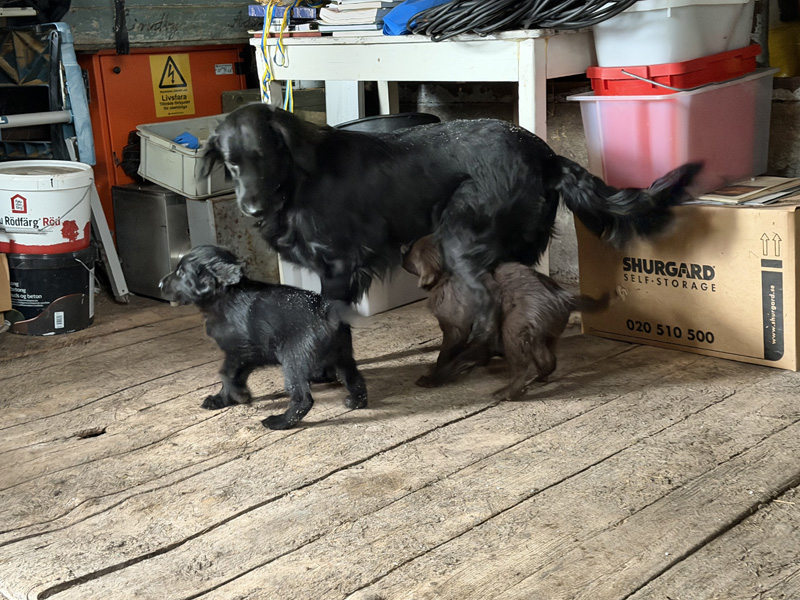 [Image: 260217%201.jpg]