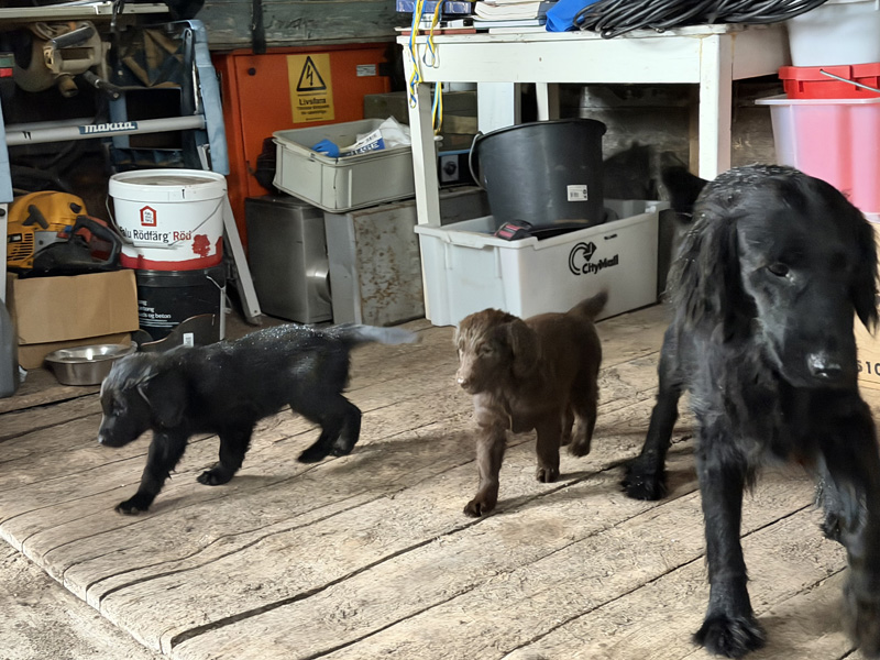 [Image: 260217%202.jpg]