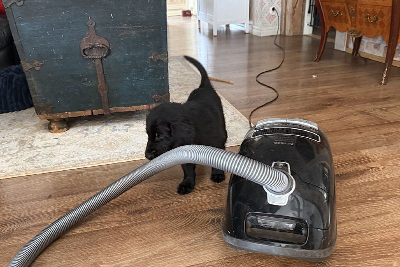 [Image: 260217%203.jpg]