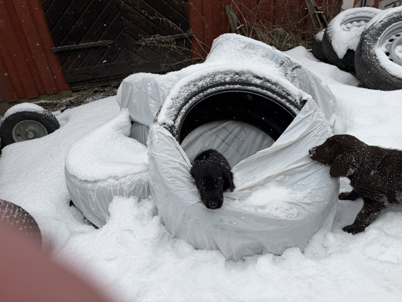 [Image: 260217%204.jpg]