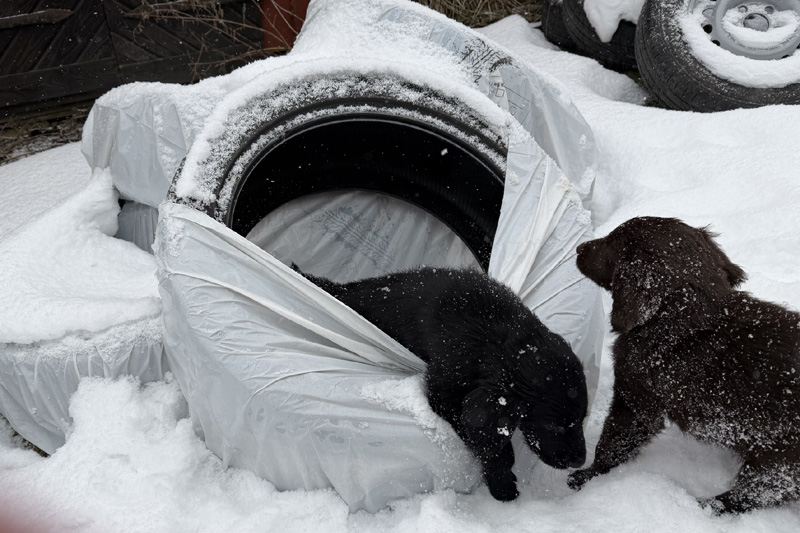 [Image: 260217%205.jpg]