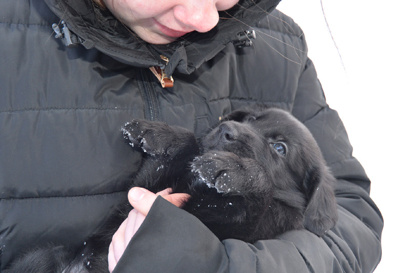 [Image: 260218%201.jpg]