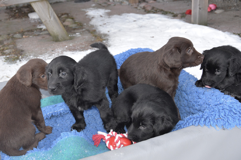 [Image: 260218%2010.jpg]