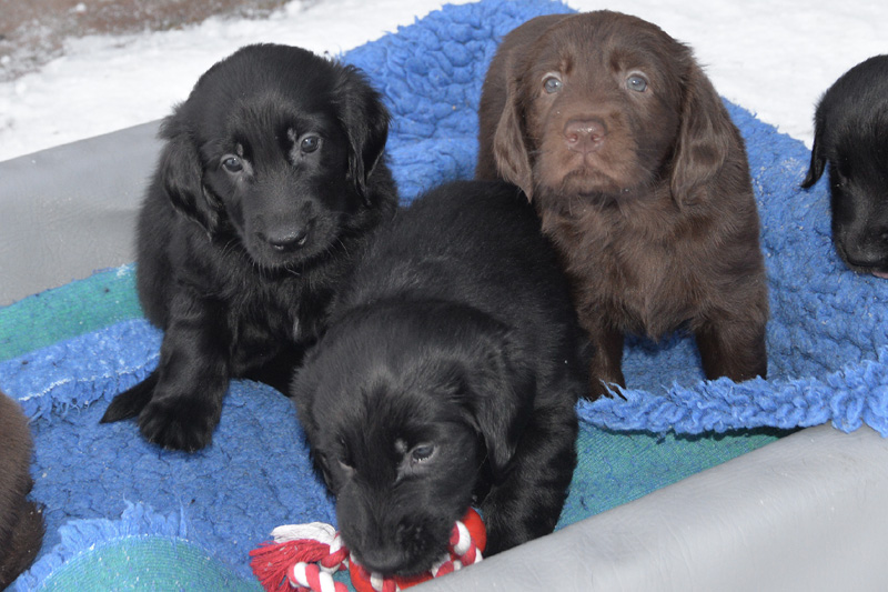 [Image: 260218%2011.jpg]