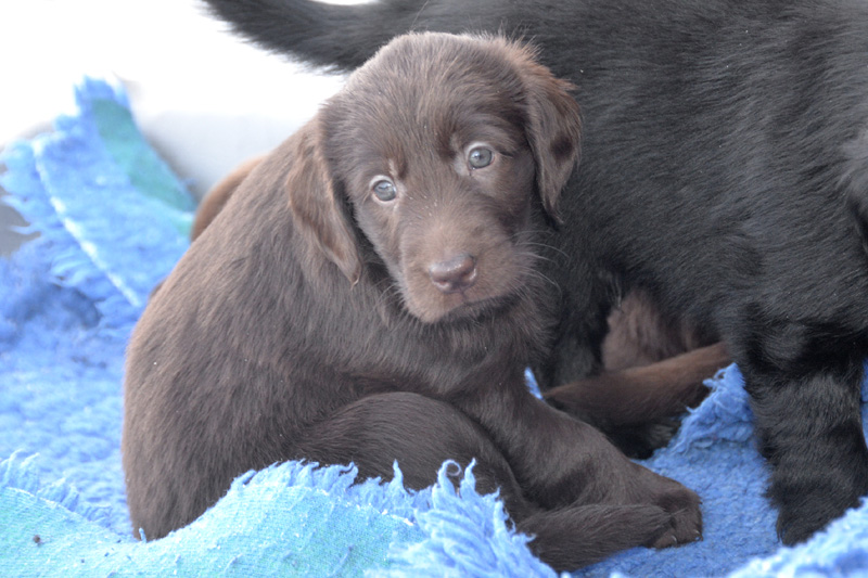 [Image: 260218%2012.jpg]