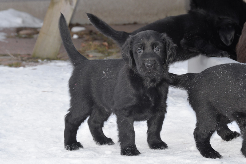 [Image: 260218%202.jpg]