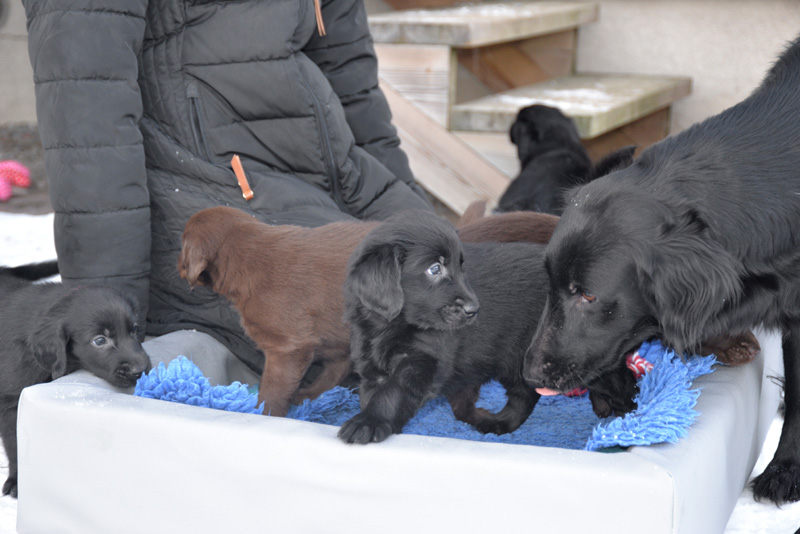 [Image: 260218%203.jpg]