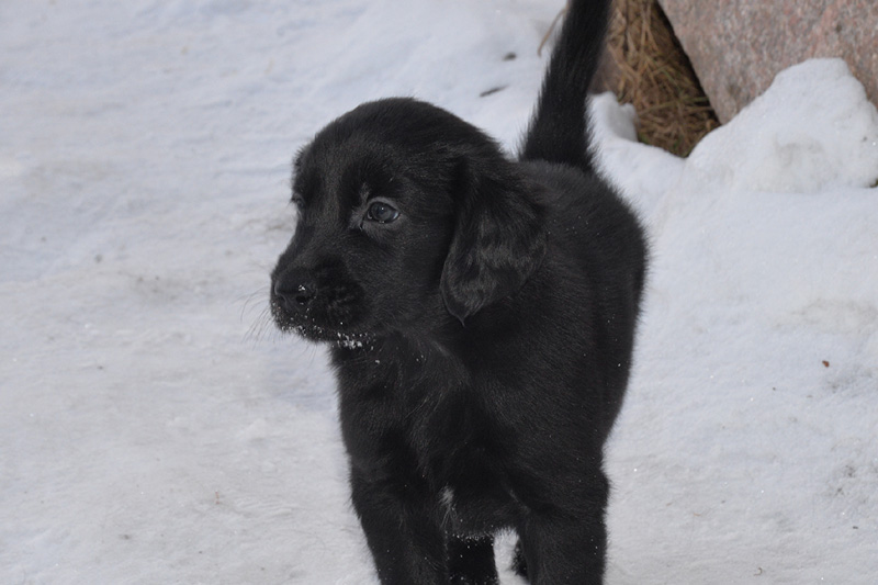 [Image: 260218%204.jpg]