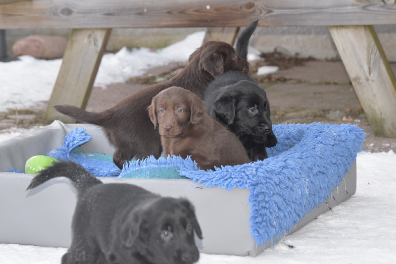 [Image: 260218%205.jpg]