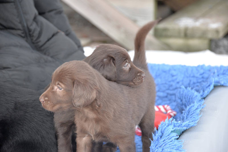 [Image: 260218%206.jpg]