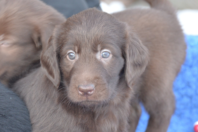 [Image: 260218%207.jpg]