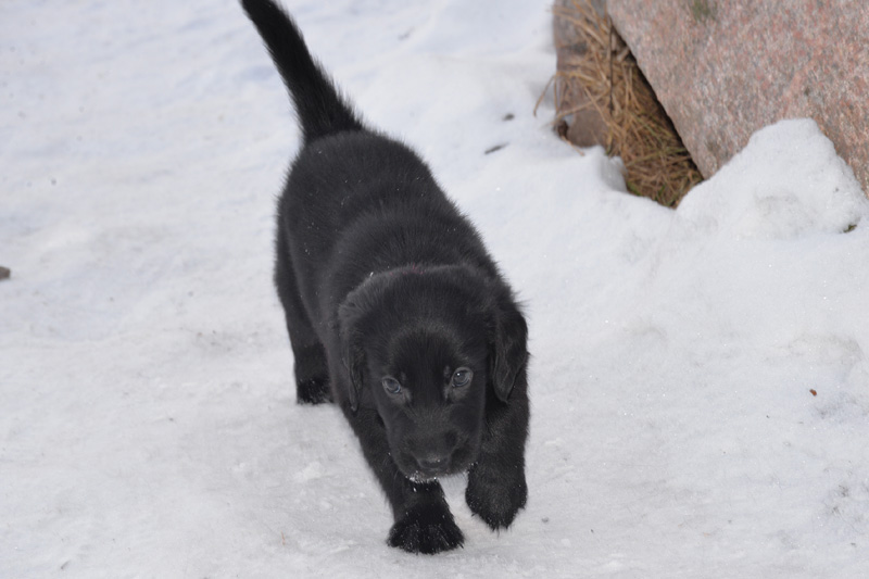 [Image: 260218%208.jpg]