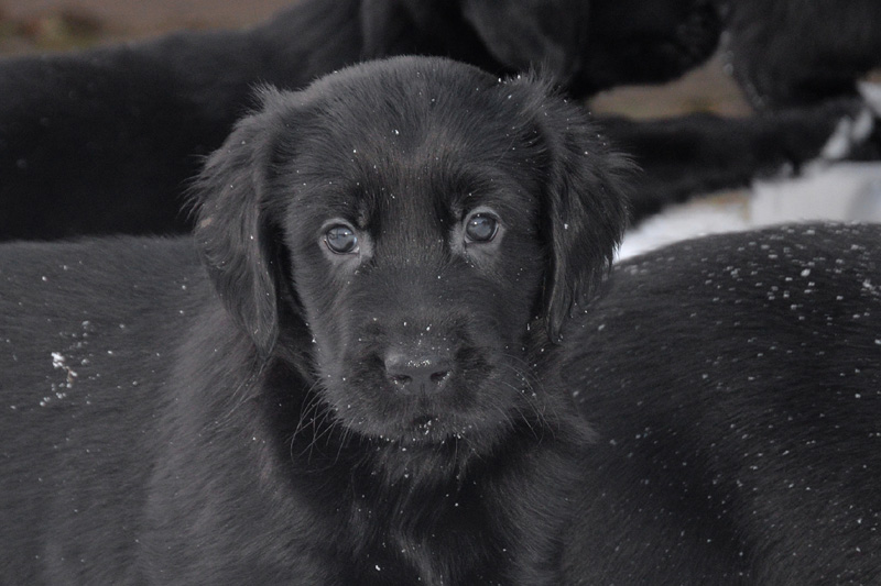 [Image: 260218%209.jpg]