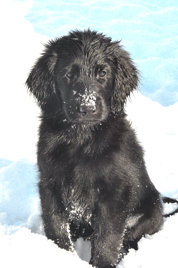 [Image: 260222%20finemang.jpg]