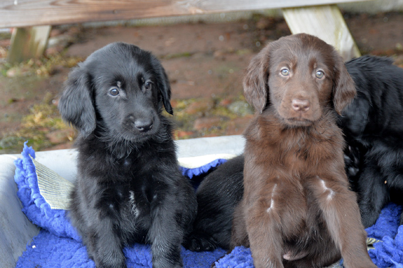 [Image: 260227%200.jpg]