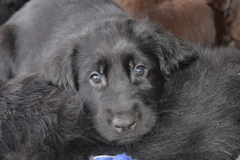 [Image: 260227%201.jpg]