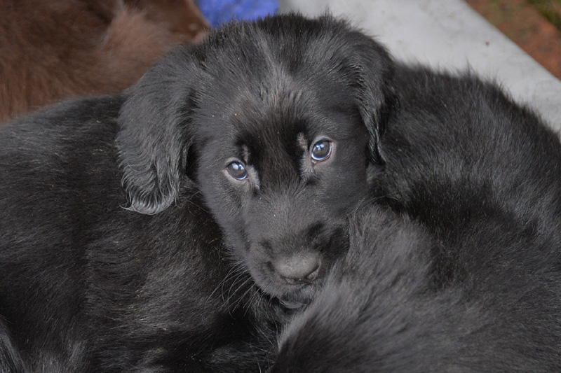 [Image: 260227%2010.jpg]