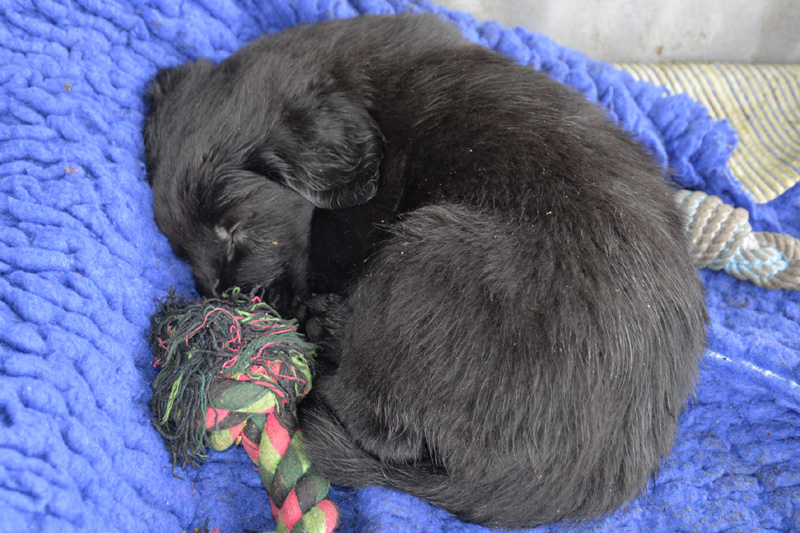 [Image: 260227%2011.jpg]