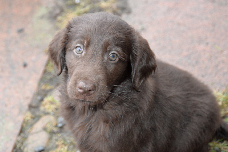 [Image: 260227%2012.jpg]