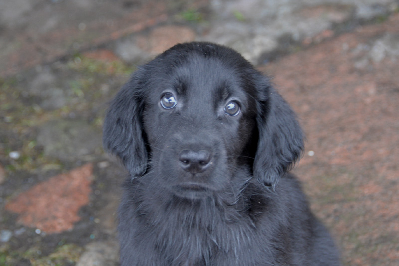 [Image: 260227%2013.jpg]