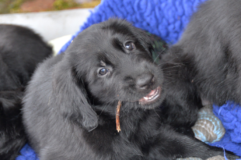 [Image: 260227%2014.jpg]