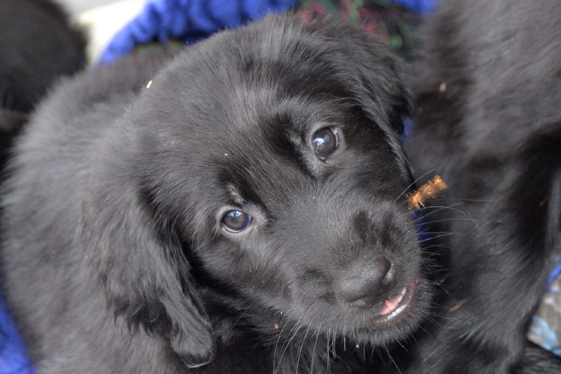 [Image: 260227%2016.jpg]