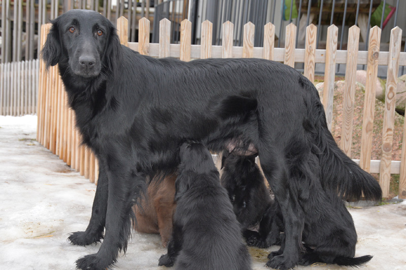 [Image: 260227%2017.jpg]