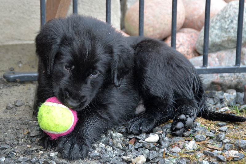 [Image: 260227%202.jpg]