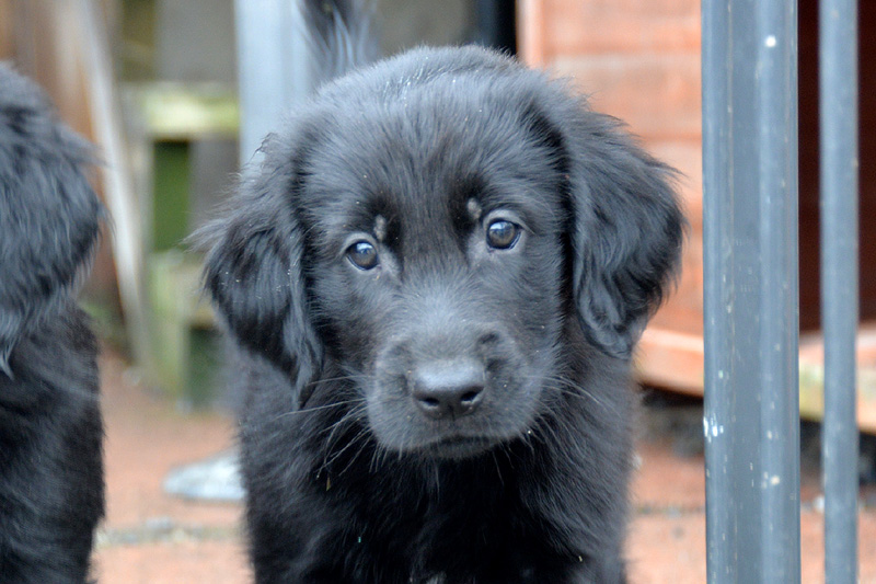 [Image: 260227%203.jpg]