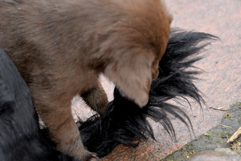 [Image: 260227%204.jpg]