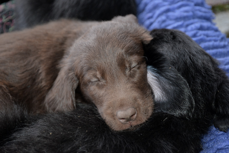 [Image: 260227%205.jpg]