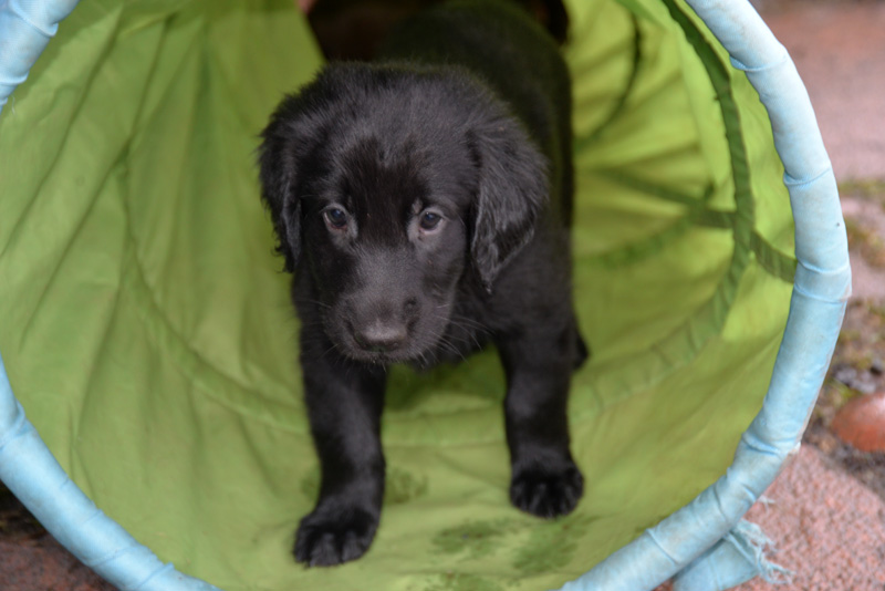 [Image: 260227%206.jpg]