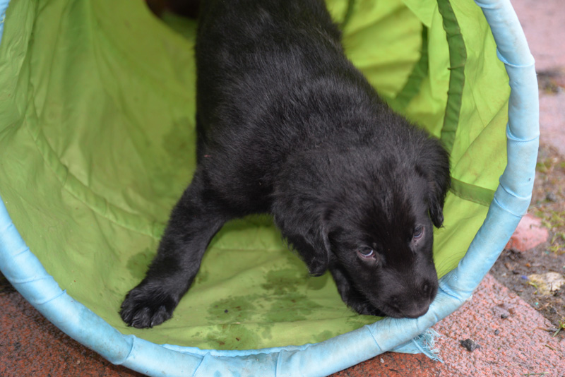 [Image: 260227%207.jpg]